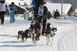 Lenk 2012 SM